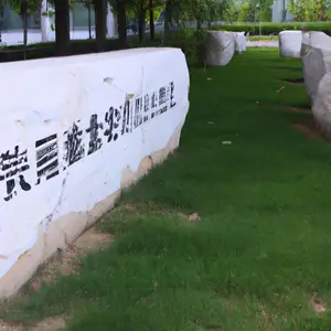 专家推荐:最有效的麝香保心丸使用方法详解