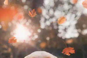 告别潮湿生活:这些方法帮你祛湿最佳