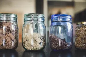 重视身体健康:了解石菖蒲的神奇功效吧