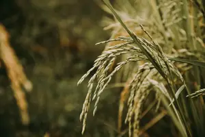 拉肚子?不必惊慌,教你轻松止泻! 拉肚子?不必惊慌,教你轻松止泻!