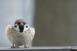 告别肾炎烦恼！狼疮性肾炎治愈好帮手