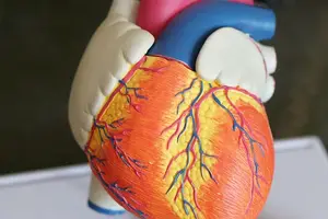 掌握健康配餐，驾驭糖尿病