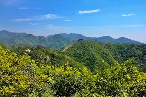 当归四逆汤,驱寒祛湿,舒适自在! 当归四逆汤,驱寒祛湿,舒适自在!