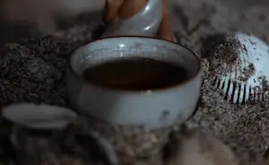 普洱茶时光不老,品一杯茶,品一段流年! 普洱茶时光不老,品一杯茶,品一段流年!