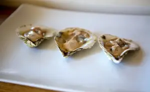 《廑鸵敦蛎》：一场美食与文化的交融盛宴！