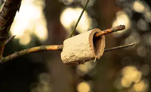 《灌尿**:如何有效地解决尿频尿急问题》 《灌尿**:如何有效地解决尿频尿急问题》