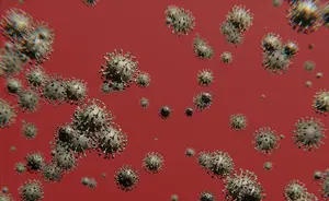 SARS再现?如何避免病毒再次肆虐? SARS再现?如何避免病毒再次肆虐?