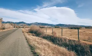 舍力丹：传承千年的中药宝藏