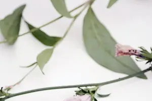 黑眼圈烦恼？神奇方法帮你轻松消除！