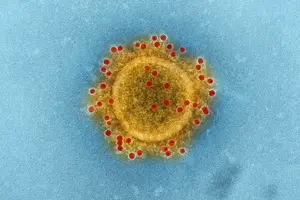 科学证实:阴性不一定代表无病毒! 科学证实:阴性不一定代表无病毒!