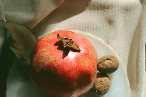 活力再现!肾气不足,快速调补的元标题。 活力再现!肾气不足,快速调补的元标题。