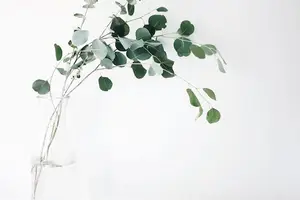 轻松告别眼袋,明亮双眸无负担 轻松告别眼袋,明亮双眸无负担