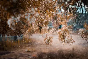 轻松摆脱咳嗽变异，告别哮喘不适