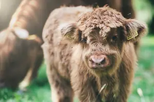 重拾自信体验 - 解决小腿肌肉萎缩问题 重拾自信体验 - 解决小腿肌肉萎缩问题