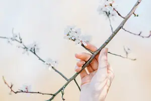 暖手神器,瞬间驱寒! 暖手神器,瞬间驱寒!