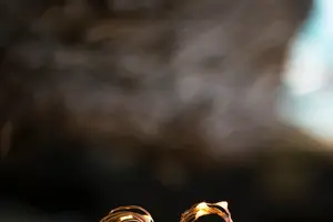 新突破!埃博拉病毒治愈计划全揭秘! 新突破!埃博拉病毒治愈计划全揭秘!
