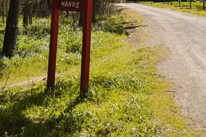 解密肺炎传染性:如何预防交叉感染? 解密肺炎传染性:如何预防交叉感染?