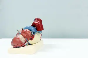 败血症专家教你如何治愈,告别疾病! 败血症专家教你如何治愈,告别疾病!