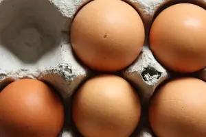 豆浆与鸡蛋:美味组合惊艳您的味蕾! 豆浆与鸡蛋:美味组合惊艳您的味蕾!