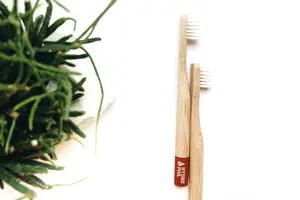 牙周炎全面治愈计划，轻松告别问题牙龈！