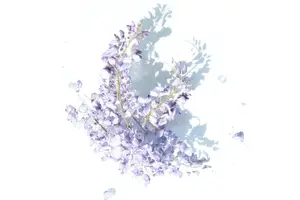 祛除脸颊红血丝,让肌肤回复自然红润 祛除脸颊红血丝,让肌肤回复自然红润