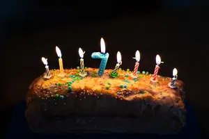 黑枣,强身健体的好帮手! 黑枣,强身健体的好帮手!