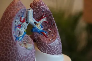 揭秘艾滋病窗口期:保障健康,及早检测 揭秘艾滋病窗口期:保障健康,及早检测