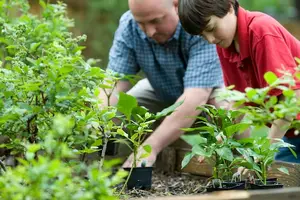 新冠二类传染病，安心出行！