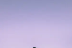 瘦出好身材：大肚腩燃脂攻略