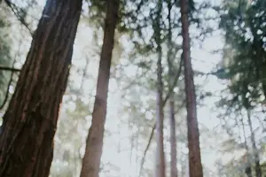 告别假性近视,重拾明亮视野! 告别假性近视,重拾明亮视野!