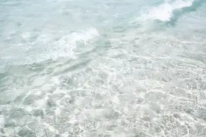 红血便？别惊慌！了解真相，保护肠健康！