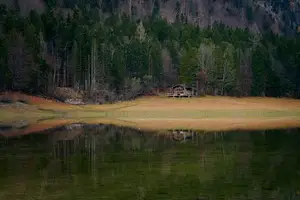 每日艾灸,舒适惬意,激活身体能量! 每日艾灸,舒适惬意,激活身体能量!