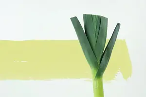 美肌食谱:吃对食物,肌肤无敌! 美肌食谱:吃对食物,肌肤无敌!