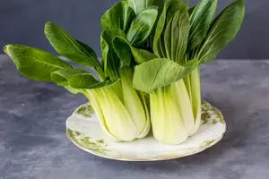 高效降脂,载脂蛋白a助力健康 高效降脂,载脂蛋白a助力健康