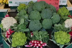美胸秘籍大公开,这些食物助你丰胸! 美胸秘籍大公开,这些食物助你丰胸!
