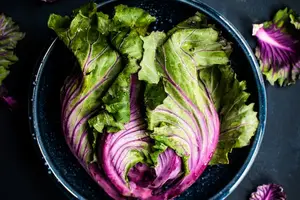 秋季食疗,养生补肾好帮手 秋季食疗,养生补肾好帮手