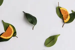 燃脂塑身,告别太瘦! 燃脂塑身,告别太瘦!