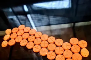 神奇西红花,百般用途! 神奇西红花,百般用途!