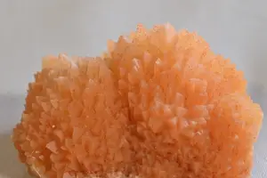 血小板不足？这些方法帮你快速提高！