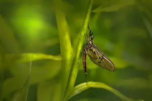 新型肿瘤标志物有效检测