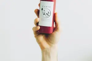 精彩美味:杨桃多种吃法推荐! 精彩美味:杨桃多种吃法推荐!