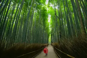 美丽从口服春荮开始！