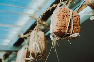 黄豆健康保障，美食滋补享受