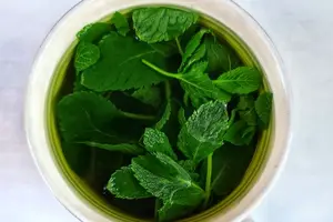茵陈,解毒瘦身神器,健康美丽从此开始 茵陈,解毒瘦身神器,健康美丽从此开始