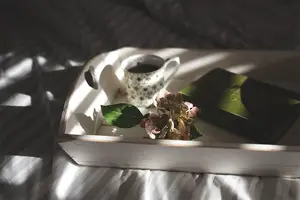 精选人参食用方法,发挥最佳功效! 精选人参食用方法,发挥最佳功效!