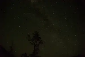 揭秘鼠疫传播逃不掉的真相！