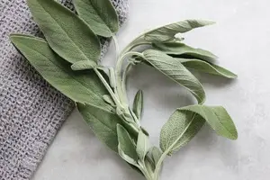 血肌酐高?快速缓解,保护肾脏! 血肌酐高?快速缓解,保护肾脏!