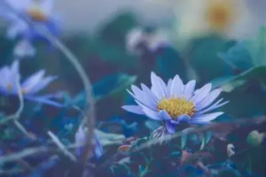 火气狂飙?这些食物降火神器! 火气狂飙?这些食物降火神器!