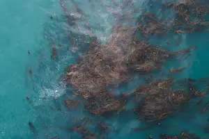 火气狂飙?这些食物降火神器! 火气狂飙?这些食物降火神器!