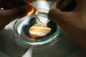 最快核酸检测结果就等你,轻松畅行无阻! 最快核酸检测结果就等你,轻松畅行无阻!